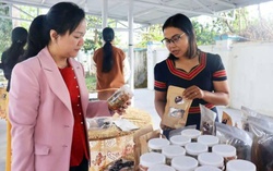 “Chìa khóa” thoát nghèo bền vững cho phụ nữ vùng khó