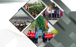 Những mô hình làm nên dấu ấn của Hội LHPN tỉnh Hưng Yên giai đoạn 2021-2025