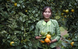 Phụ nữ Lạng Sơn quyết tâm bứt phá trong kỷ nguyên số, xây dựng quê hương giàu đẹp, văn minh