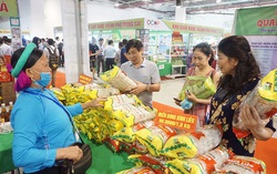 Đưa chính sách phát triển kinh tế - xã hội đến gần người dân vùng dân tộc thiểu số và miền núi