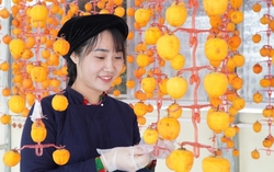 
Phụ nữ dân tộc thiểu số và miền núi Lạng Sơn trở thành nòng cốt kết nối, quảng bá sản phẩm đặc trưng