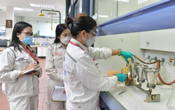 Bình đẳng giới - nền tảng phát huy sức mạnh nữ giới tại Petrovietnam