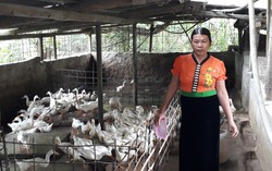 Lồng ghép giới, tạo đột phá trong giảm nghèo ở Sơn La