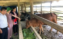 Thúc đẩy bình đẳng giới - điểm sáng trong thực hiện giảm nghèo bền vững ở Tuyên Quang