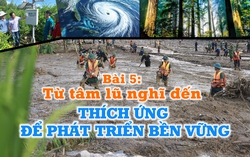 Thiên tai dị thường & Yêu cầu chủ động ứng phó - Bài cuối: Từ tâm lũ nghĩ đến thích ứng để phát triển bền vững