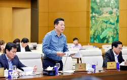 Họp Ủy ban Thường vụ Quốc hội: Đổi mới cách tiếp cận trong phân loại đô thị