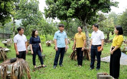 Thông tin - "chìa khóa mềm" mở cánh cửa thoát nghèo ở Thái Nguyên