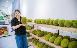 Khơi dậy nội lực, nâng cao đời sống và vị thế phụ nữ thông qua xây dựng nông thôn mới ở Tân An