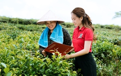 Vietnam ESG Awards 2025 vinh danh Agribank là ngân hàng tiêu biểu phát triển chuỗi giá trị gắn với an sinh xã hội