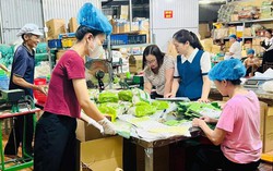 Bún khô Hương Quê và hành trình giảm nghèo thông tin ở Hợp Thành