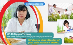 Những người Kể sử: Nữ giáo sư cống hiến cho sự phát triển cây lúa ở Đồng bằng sông Cửu Long