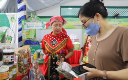 Sản phẩm OCOP miền núi phía Bắc thu hút người tiêu dùng TPHCM