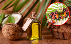 Cảnh báo 2 loại dầu thực vật âm thầm bào mòn sức khỏe