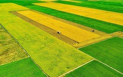 3 Chương trình Mục tiêu Quốc gia tạo chuyển biến toàn diện vùng nông thôn