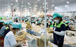 Những chính sách mới nổi bật có hiệu lực từ tháng 1 năm 2026