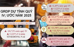 Đồng Nai bứt phá mạnh mẽ, GRDP năm 2025 vượt mục tiêu, khẳng định vai trò đầu tàu kinh tế của vùng và cả nước