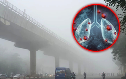 Giải mã ô nhiễm bụi mịn "mù sương" gây tổn thương phổi, gia tăng ung thư
