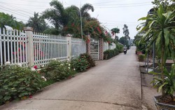 Ban hành Bộ tiêu chí quốc gia về nông thôn mới giai đoạn 2026-2030