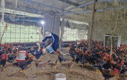 Phát huy vai trò của phụ nữ trong giảm nghèo bền vững ở Quảng Trị