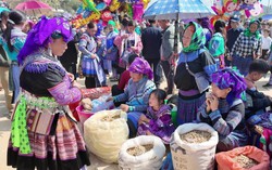 Pha Long triển khai hiệu quả công tác giảm nghèo bền vững, thúc đẩy bình đẳng giới