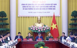 Công bố 14 luật và 1 pháp lệnh: Nhiều tác động tới phụ nữ, trẻ em