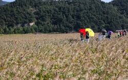 Hàn Quốc gia hạn miễn phí thị thực theo đoàn cho du khách Việt Nam