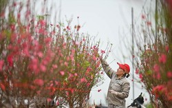 TPHCM: Quà Xuân của Đảng, Nhà nước đến với đối tượng chính sách