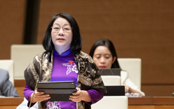 Đại biểu Quốc hội: Nhói lòng nhìn những gương mặt bơ phờ vì áp lực thi vào lớp 10