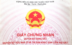 Bộ Nông nghiệp và Môi trường thông tin về bảng giá đất mới và kết quả “làm sạch dữ liệu đất đai”