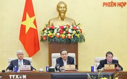 Ủy ban Thường vụ Quốc hội: Bổ sung các chính sách, nguồn lực phát triển báo chí