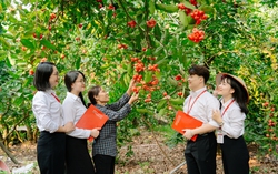 Nữ cán bộ, người lao động Agribank: Hướng tới bình đẳng giới và an toàn cho phụ nữ trong kỷ nguyên số