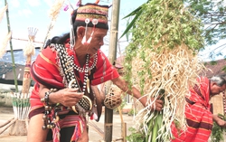 Làng biên giới Đăk Răng rộn ràng phục dựng Lễ mừng lúa mới