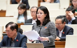 Cần ràng buộc trách nhiệm nhà đầu tư với sinh kế dài hạn của người dân trong dự án thu hồi đất