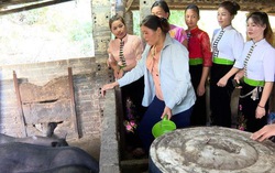 Những người "truyền lửa" thoát nghèo ở Mường Mùn