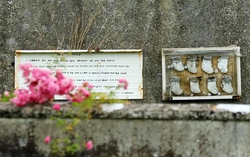 Phát hiện khu mộ tập thể trẻ sơ sinh mới tại Ireland