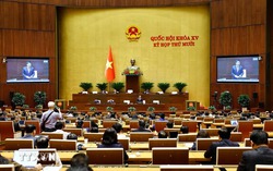 Tạo khuôn khổ pháp lý vượt trội giúp TP Hồ Chí Minh, Đà Nẵng phát triển bứt phá