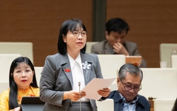 Đại biểu đề xuất công khai tên bộ, ngành chậm giải quyết kiến nghị của cử tri