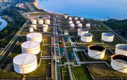 Petrovietnam - hình mẫu doanh nghiệp quốc gia trong hành trình phát triển đất nước