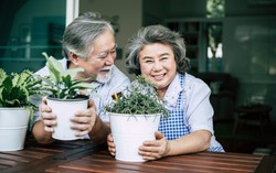 6 bí quyết sống hạnh phúc sau khi nghỉ hưu