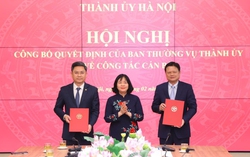 Thành ủy Hà Nội có tân Trưởng ban Tổ chức và tân Trưởng ban Nội chính