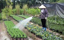 Nhiều cặp vợ chồng trẻ vùng cao rủ nhau "hạ sơn" đi làm ăn xa