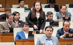 Lồng ghép vấn đề bình đẳng giới trong Dự án Luật
Ban hành văn bản quy phạm pháp luật (sửa đổi) 2025