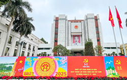 RẠNG RỠ VIỆT NAM