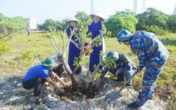 Quân và dân ở Trường Sa trồng hàng nghìn cây xanh hưởng ứng Tết trồng cây
