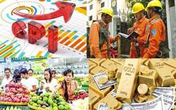 Phấn đấu kiểm soát chỉ số giá tiêu dùng bình quân năm 2025 ở mức khoảng 4,15%