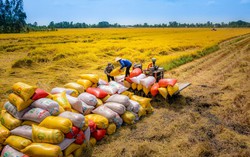 Nhiều chính sách mới quan trọng liên quan đến kinh tế có hiệu lực từ tháng 3/2025