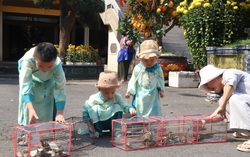 Đầu năm, mẹ đưa con đi chùa, thả chim phóng sinh mong các con biết hướng thiện