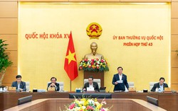 Tháo gỡ vướng mắc trong việc thực hiện khen thưởng "tổ chức đảng, đoàn thể trong sạch, vững mạnh"