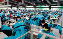 TPHCM đang thiếu hụt hàng nghìn lao động phổ thông