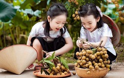 "Tình đất phù sa": Khúc trữ tình sâu đậm về quê hương đất nước